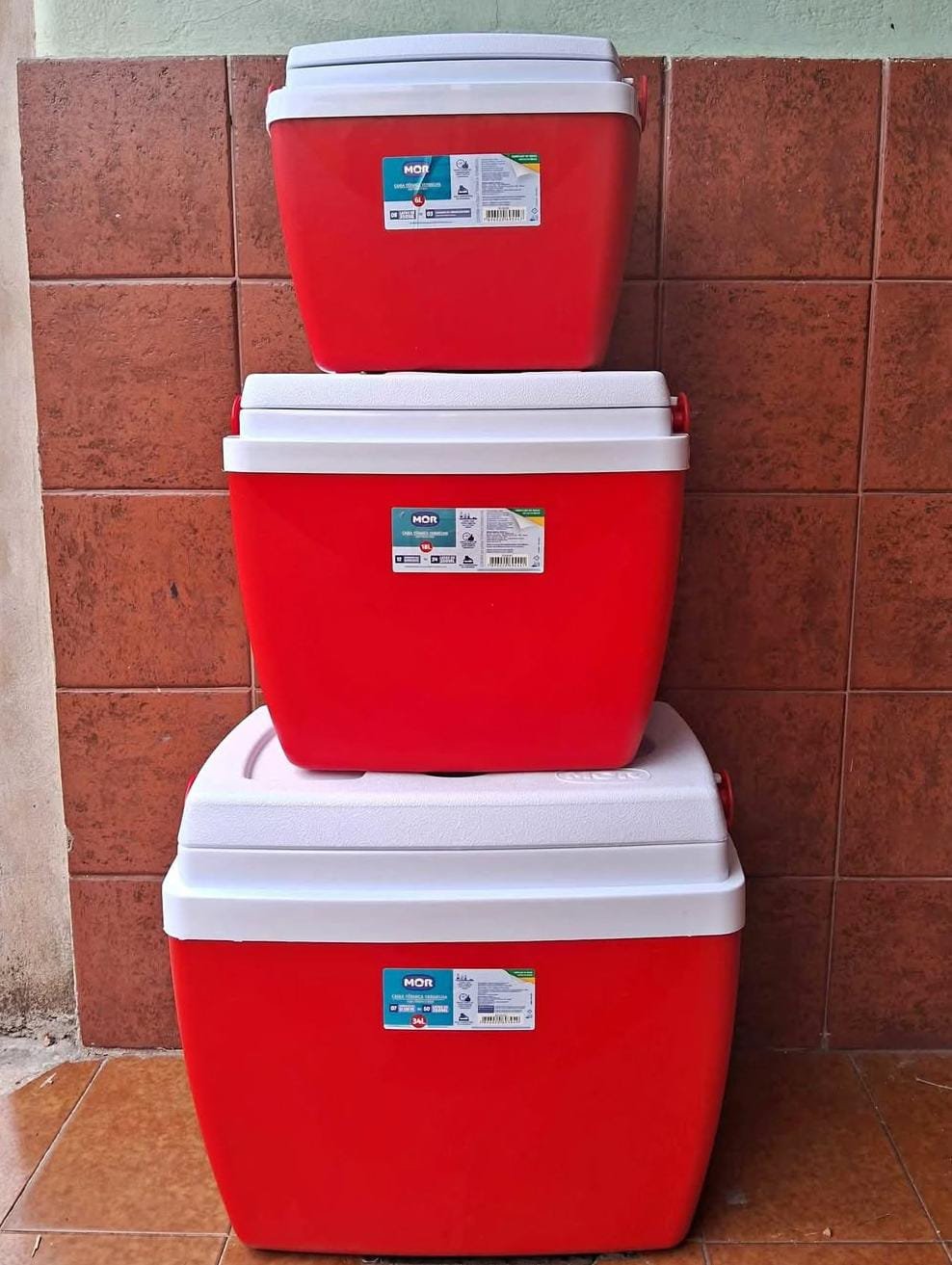 🧊🍓CONSERVADORA MOR 3 EN 1🍓🧊